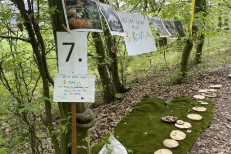 Pohádkový les