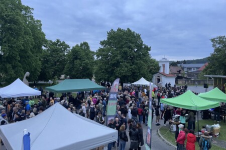 Letovské chmelení