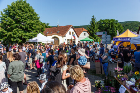 Letovské máje